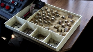 В Саратове выросла цена проезда на пяти автобусных маршрутах. На очереди еще два