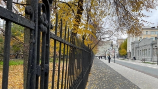 Ночь искусств-2025: "Щелкунчик", китайская каллиграфия, мещанский уют Саратова