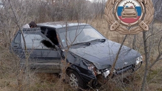 В вылетевшей с саратовской дороги "14-й" обнаружен мертвый водитель