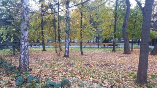 Саратовцев ждет теплое воскресенье без дождей