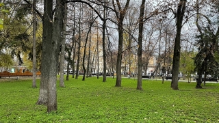 В Саратове сохранится теплая и сырая погода