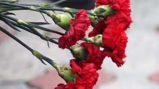 На СВО погибли еще двое саратовцев