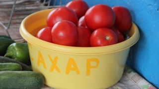 Саратовстат: за пять дней подорожало в три раза больше продуктов, чем подешевело