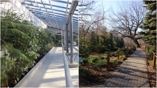 В Саратове после реконструкции открывается Ботанический сад СГУ