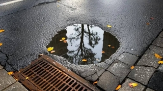 Синоптики обещают саратовцам дождливый понедельник