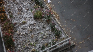 Жителей Саратовской области ждет неделя с температурными качелями и дождями