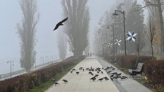 Во вторник в Саратове заметно потеплеет