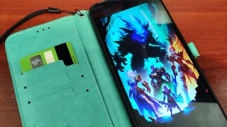 По наущению "известного блогера" школьница опустошила банковскую карту матери