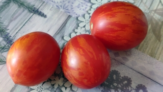 Огурцы, помидоры и куриные яйца дорожают на саратовских прилавках каждую неделю