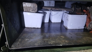 Из Саратовской области в Узбекистан не пустили два центнера меда