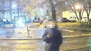 В аэропорту Шереметьево задержали помогавшую мошенникам молодую саратовчанку