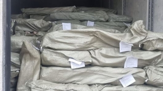 Из Казахстана в Саратовскую область не пустили почти 20 тонн воблы