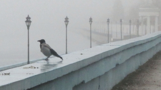 В понедельник саратовцам обещают около нуля