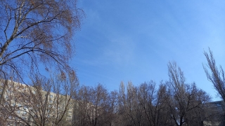 В Саратове обещают сухой вторник при нулевой температуре