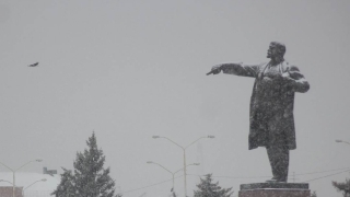 Из-за непогоды в Саратове объявлено о закрытии парков