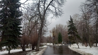 Саратовцам обещают пятницу с переменной облачностью