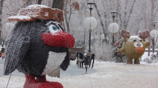 Саратовский синоптик о новогодней погоде: "Температурные качели, снег и туман"