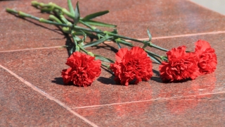 В Саратовской области ищут родственников сгинувших в нацистских лагерях военнопленных