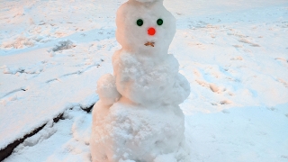 Синоптики обещают саратовцам морозную пятницу