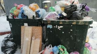 Саратов и Энгельс попали в мусорный коллапс