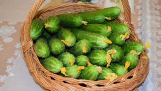 Роскачество: в Саратовской области нет ни одного производителя "чистых" продуктов