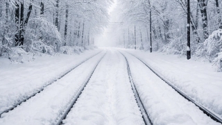 Снегопад в Саратове. К 10-балльным пробкам добавился еще и трамвайный коллапс