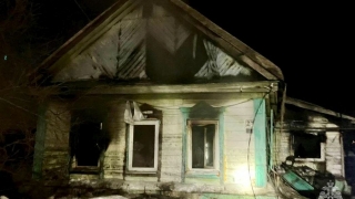 В загоревшемся в саратовском райцентре доме погибли кошки, попугай и шиншилла