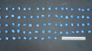 Саратовские полицейские поймали самарского закладчика с партией метадона