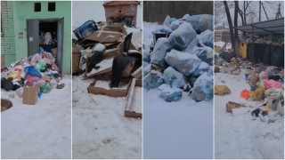 Уставшие от "Ситиматика" энгельситы голосуют за лучший "памятник мусорной архитектуры"