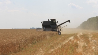 Саратовская область теряет инновационную составляющую своего аграрного сектора