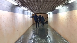 Жители Саратова просят "осушить болото" в подземном переходе