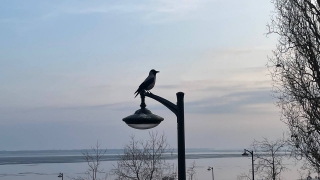 В среду саратовцам обещают температуру около ноля и западный ветер