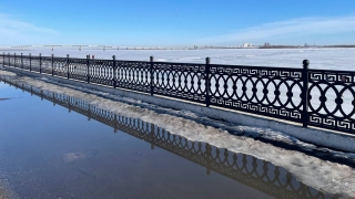 Саратовцам обещают оттепельное воскресенье