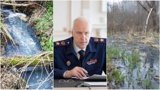 Саратовцы просят главу СК изъять дело о загрязнении Волги фекалиями