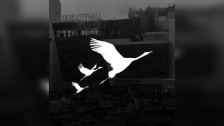 Боль, которая не утихнет. Вторая годовщина со дня теракта в "Крокус Сити Холле"