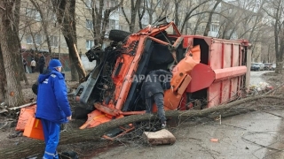 В Саратове мусоровоз въехал в дерево. Есть пострадавший