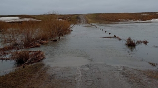 Паводок-2026. В Пугачевском районе затопило мост