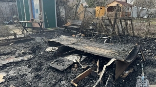 В саратовском СНТ дачник пытался сам потушить пожар и получил ожоги