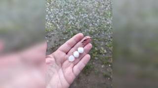 В Саратовской области прошел сильный ливень с градом