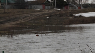 Большая вода. В Саратовской области под воду ушли две дороги и два моста