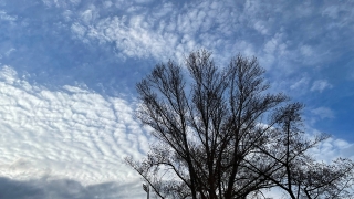 В пятницу саратовцев ждет небольшое потепление