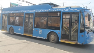 Утром в Саратове разом встали троллейбусы пяти маршрутов