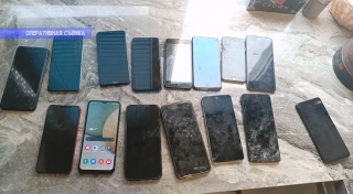 Семеро молодых саратовцев помогали мошенникам заполучить абонентские номера