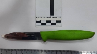 Били ножом и пытались утопить. В Энгельсе две женщины признаны виновными в покушении на убийство