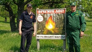 На майские праздники саратовские лесники наказали несколько нарушителей