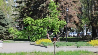 В среду погода в Саратове будет по-прежнему жаркой