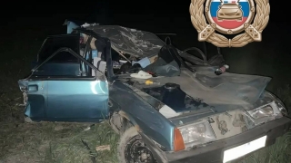 Возле саратовского села "Лада" сбила лося. Два человека в больнице