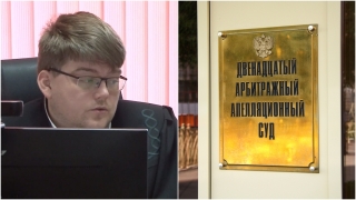 Правосудие в тупике. В Саратове стартовала апелляция по делу об экокатастрофе на Волге