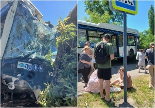 На Тульской саратовский автобус въехал в дерево. Есть пострадавшие