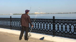 В Саратовской области сняли нерестовый запрет на Волгоградском водохранилище